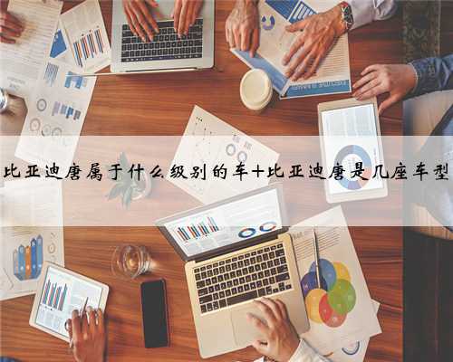 比亚迪唐属于什么级别的车 比亚迪唐是几座车型