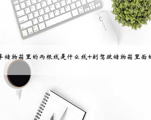 汽车储物箱里的两根线是什么线 副驾驶储物箱里面的线