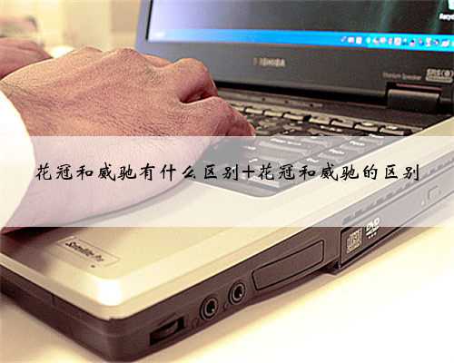 花冠和威驰有什么区别 花冠和威驰的区别