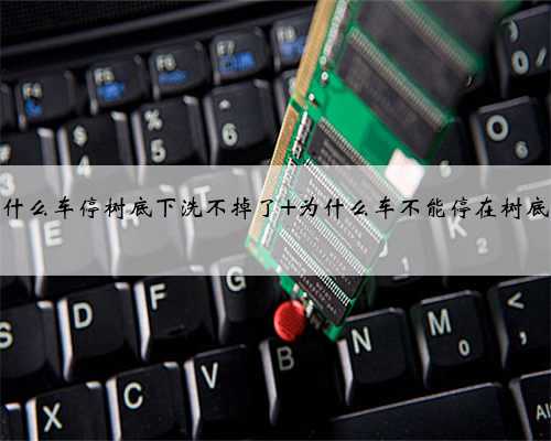 为什么车停树底下洗不掉了 为什么车不能停在树底下