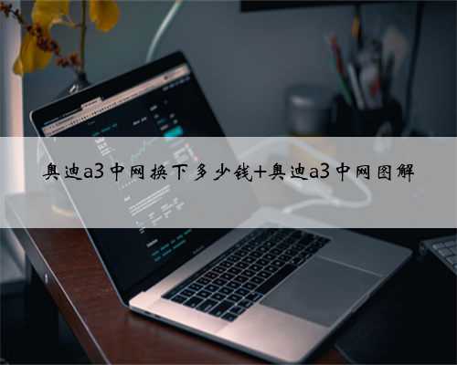 奥迪a3中网换下多少钱 奥迪a3中网图解